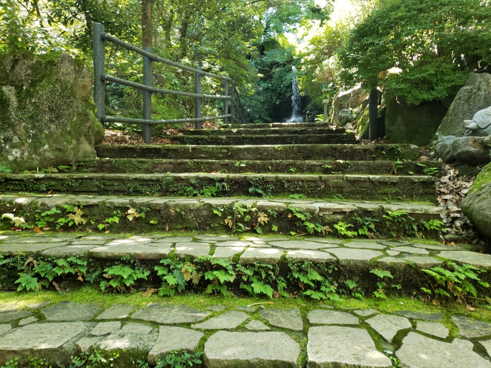 湯河原万葉公園の写真 