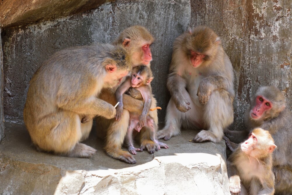福岡市動植物園の写真 