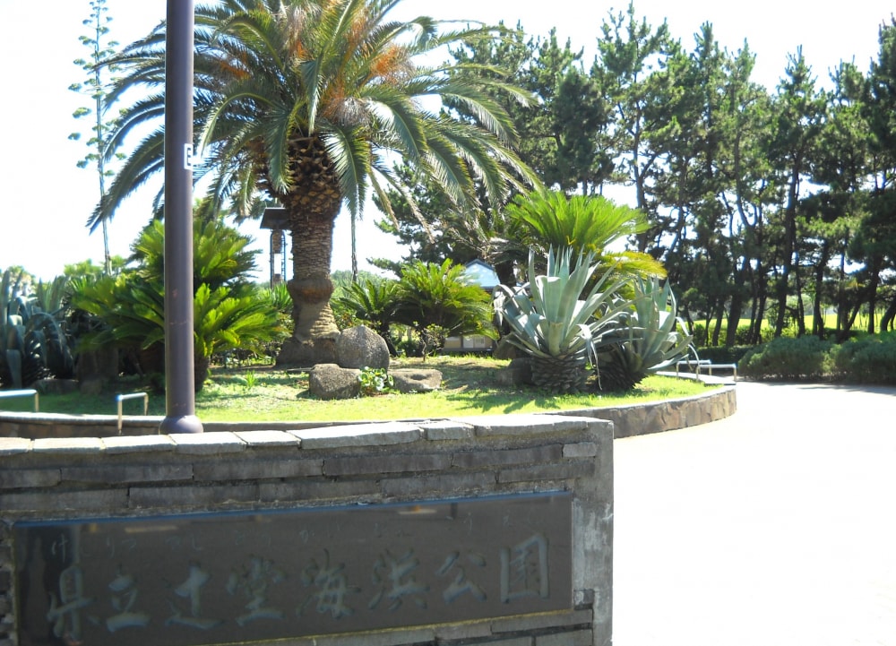 辻堂海浜公園の写真 ©星組背番号10(Public domain)