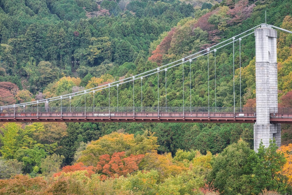 神奈川県立秦野戸川公園の写真 