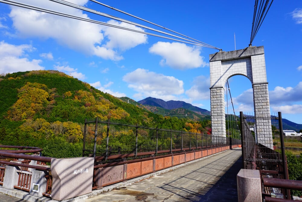 神奈川県立秦野戸川公園の写真 