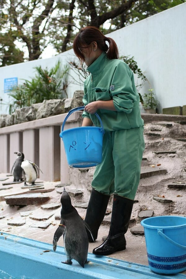 川崎市立 夢見ヶ崎動物公園の写真 ©fortbragg2008(CC BY 2.0)