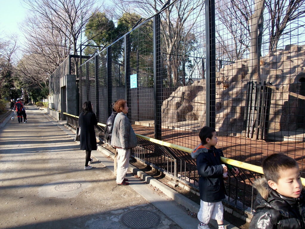 川崎市立 夢見ヶ崎動物公園の写真 ©yoppy(CC BY 2.0)