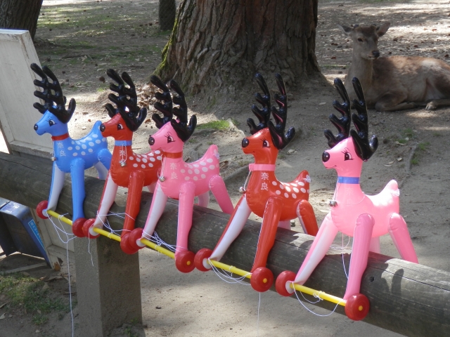 奈良公園の写真 