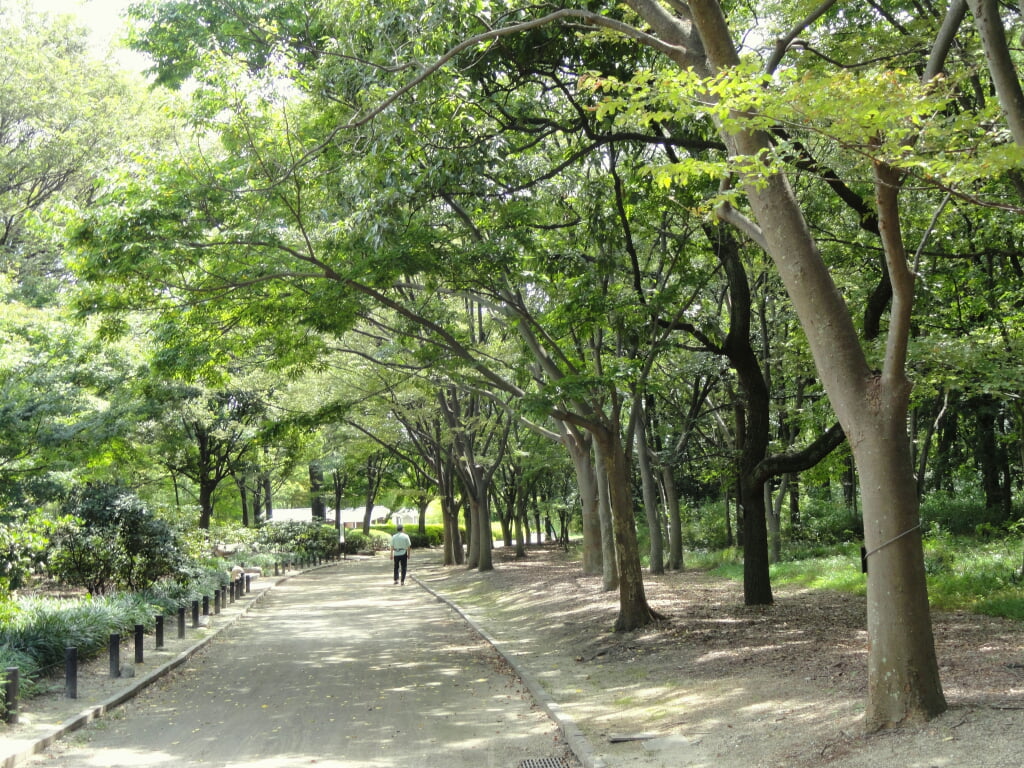 大阪市立長居植物園の写真 ©Daderot(CC0)