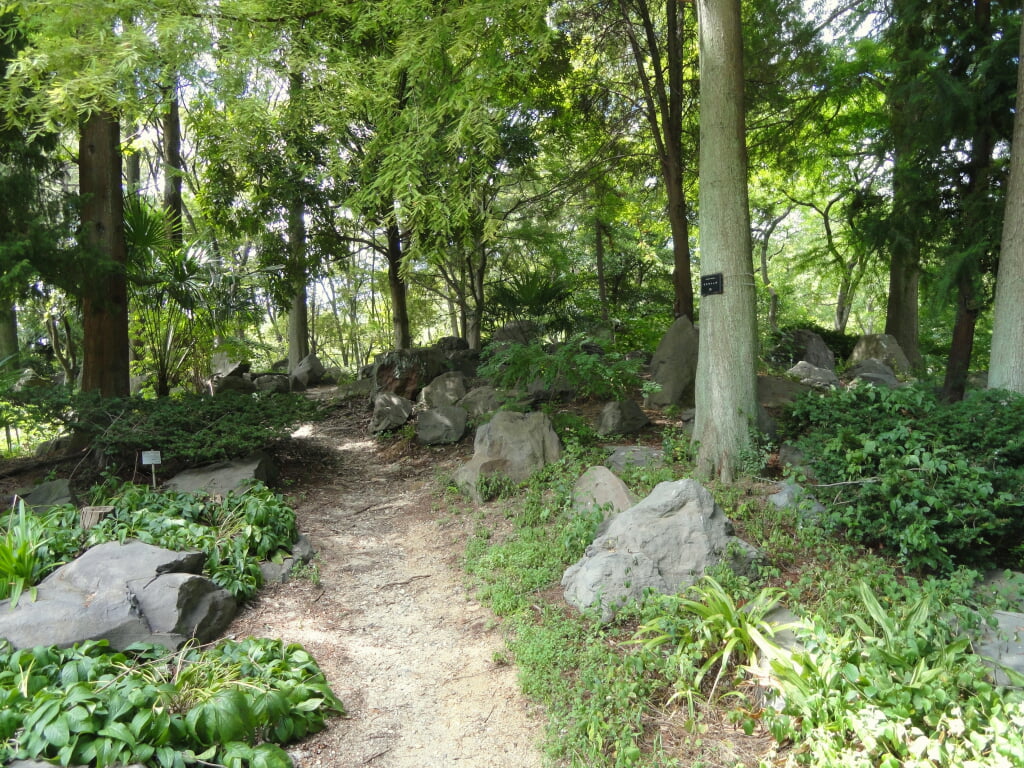 大阪市立長居植物園の写真 ©Daderot(CC0)