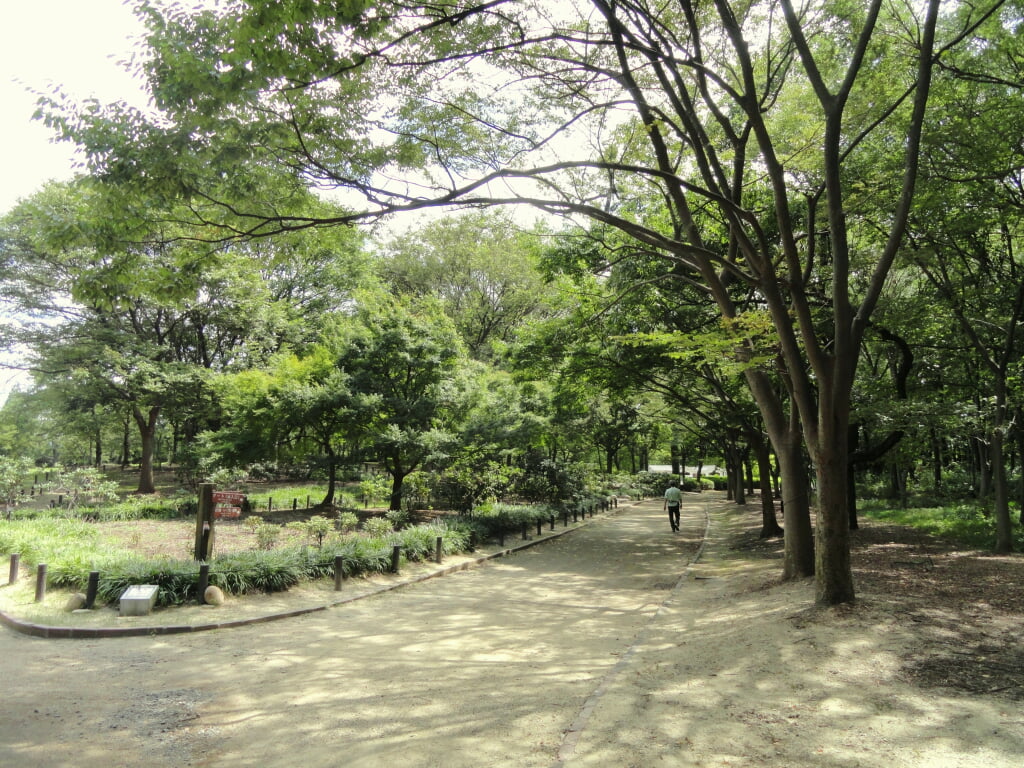 大阪市立長居植物園の写真 ©Daderot(CC0)