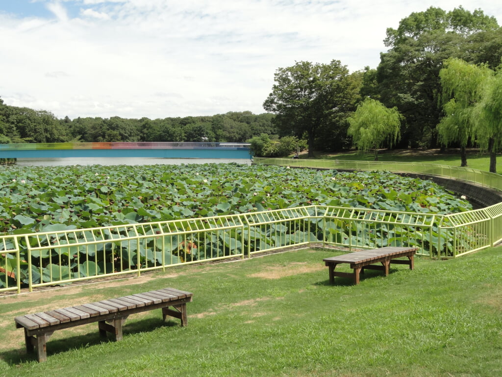 大阪市立長居植物園の写真 ©Daderot(CC0)