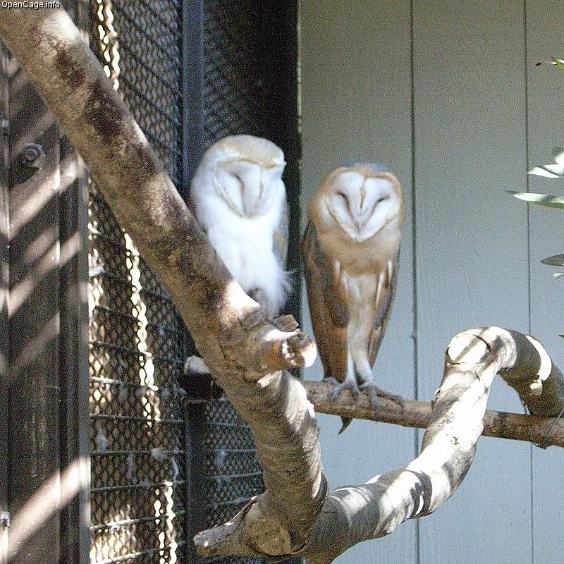 姫路市立動物園の写真 ©Daiju(CC BY-SA 2.5)