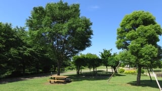 県立 相模三川公園の写真 出典:神奈川県/神奈川県オープンデータ(CC BY 4.0)