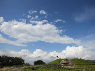 県立 相模三川公園の写真 出典:神奈川県/神奈川県オープンデータ(CC BY 4.0)