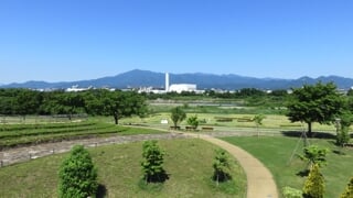 県立 相模三川公園の写真 出典:神奈川県/神奈川県オープンデータ(CC BY 4.0)
