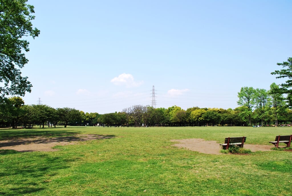 岸根公園の写真 ©Captain76(Public domain)