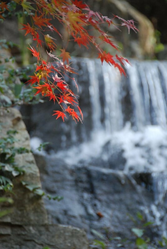 岸根公園の写真 ©naitokz(CC BY-ND 2.0)