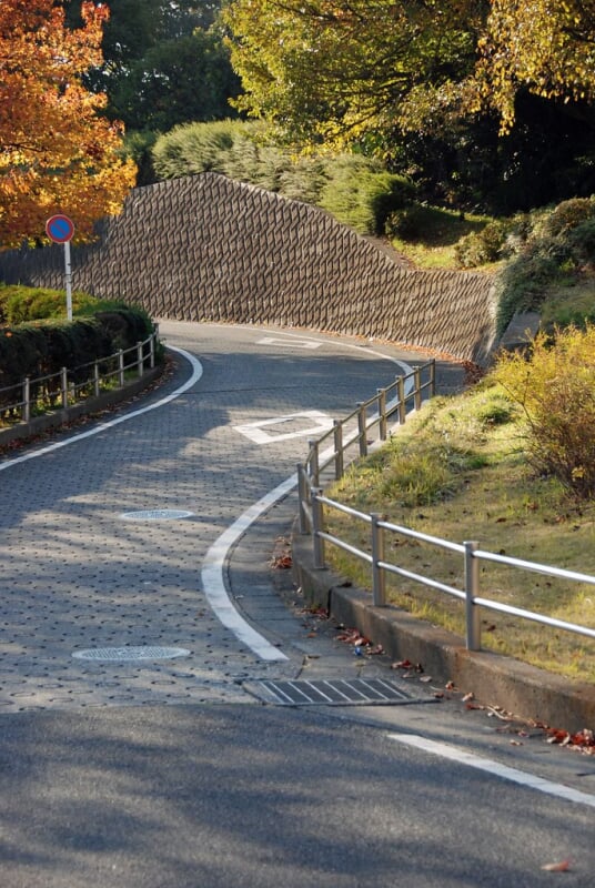 岸根公園の写真 ©naitokz(CC BY-ND 2.0)