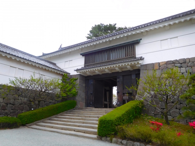 小田原城址公園の写真 