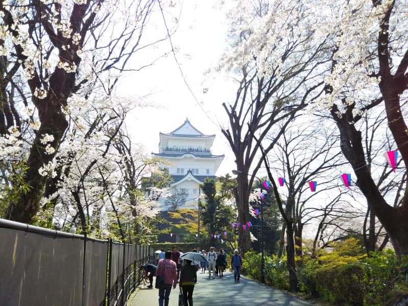 小田原城址公園の写真 