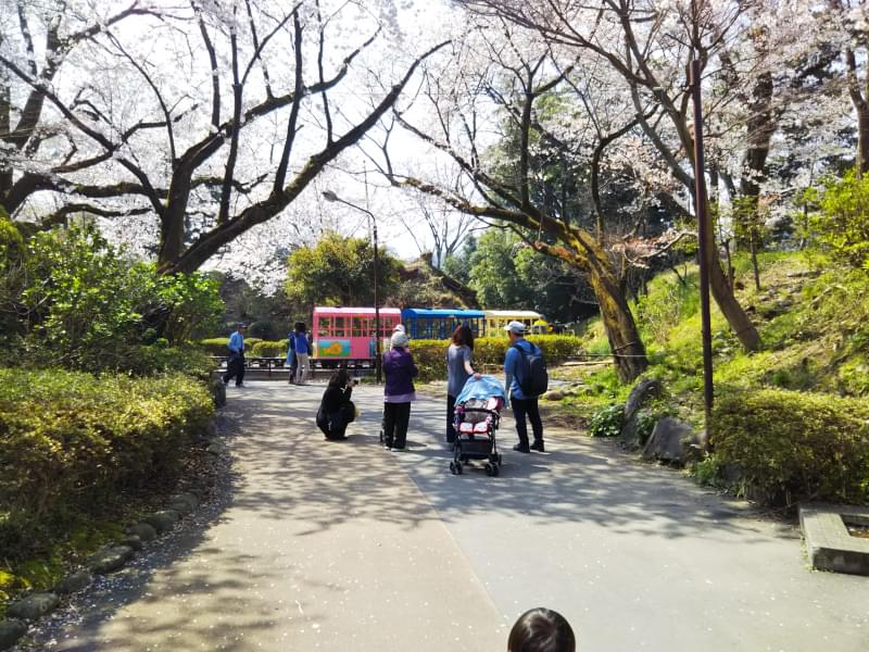 小田原城址公園の写真 