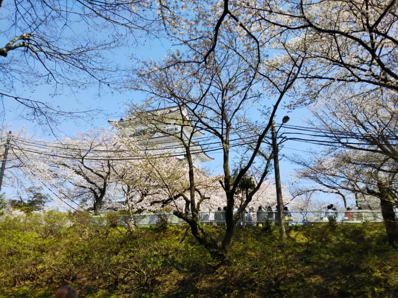 小田原城址公園の写真 