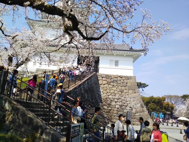 小田原城址公園の写真 