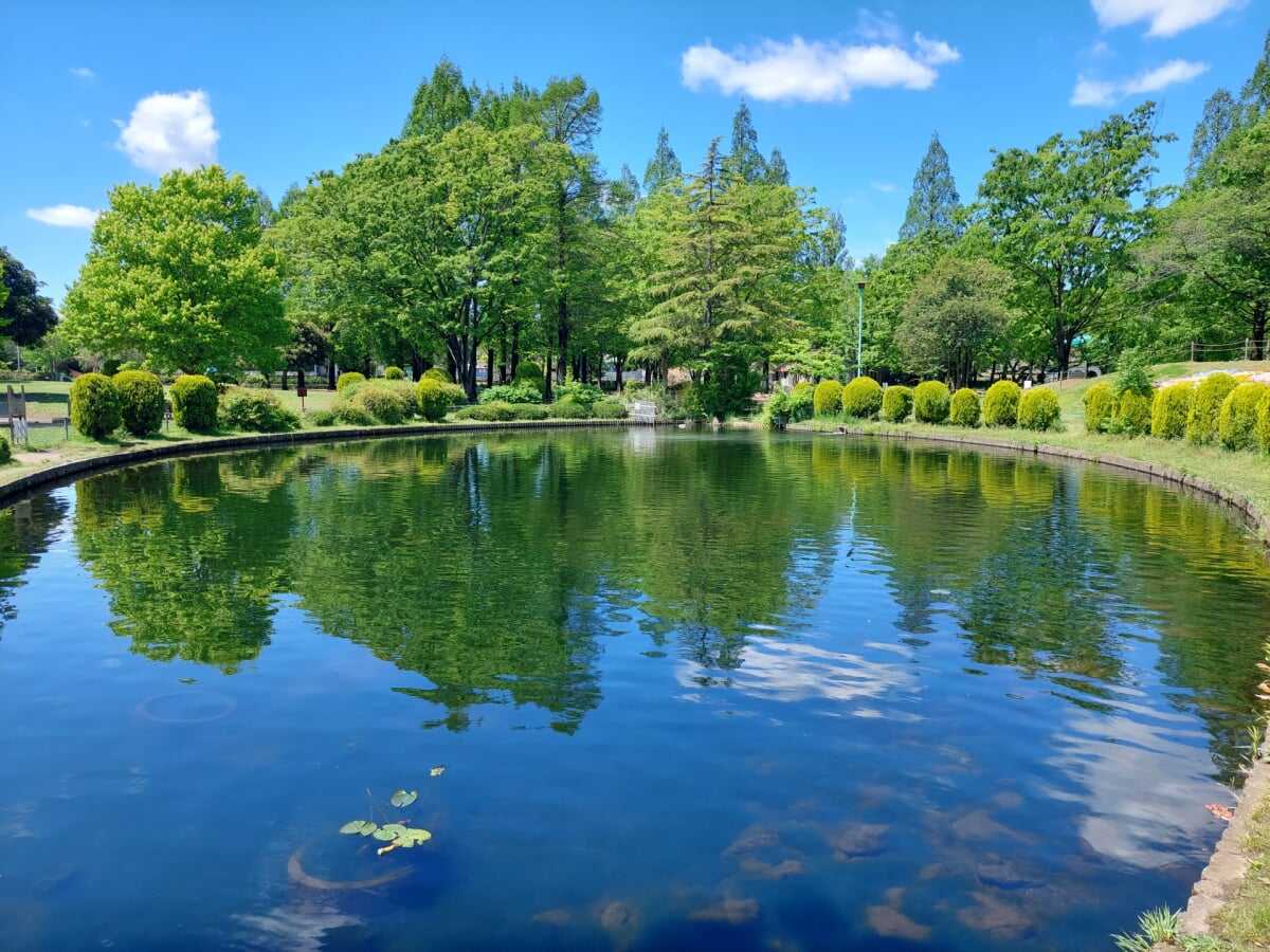大崎公園の写真 