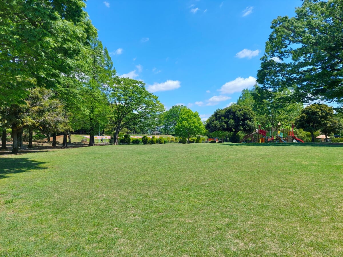 大崎公園の写真 