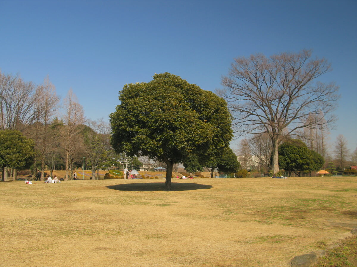 大崎公園の写真 ©京浜にけ(CC BY-SA 3.0)