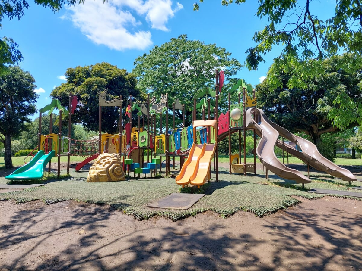 大崎公園の写真 
