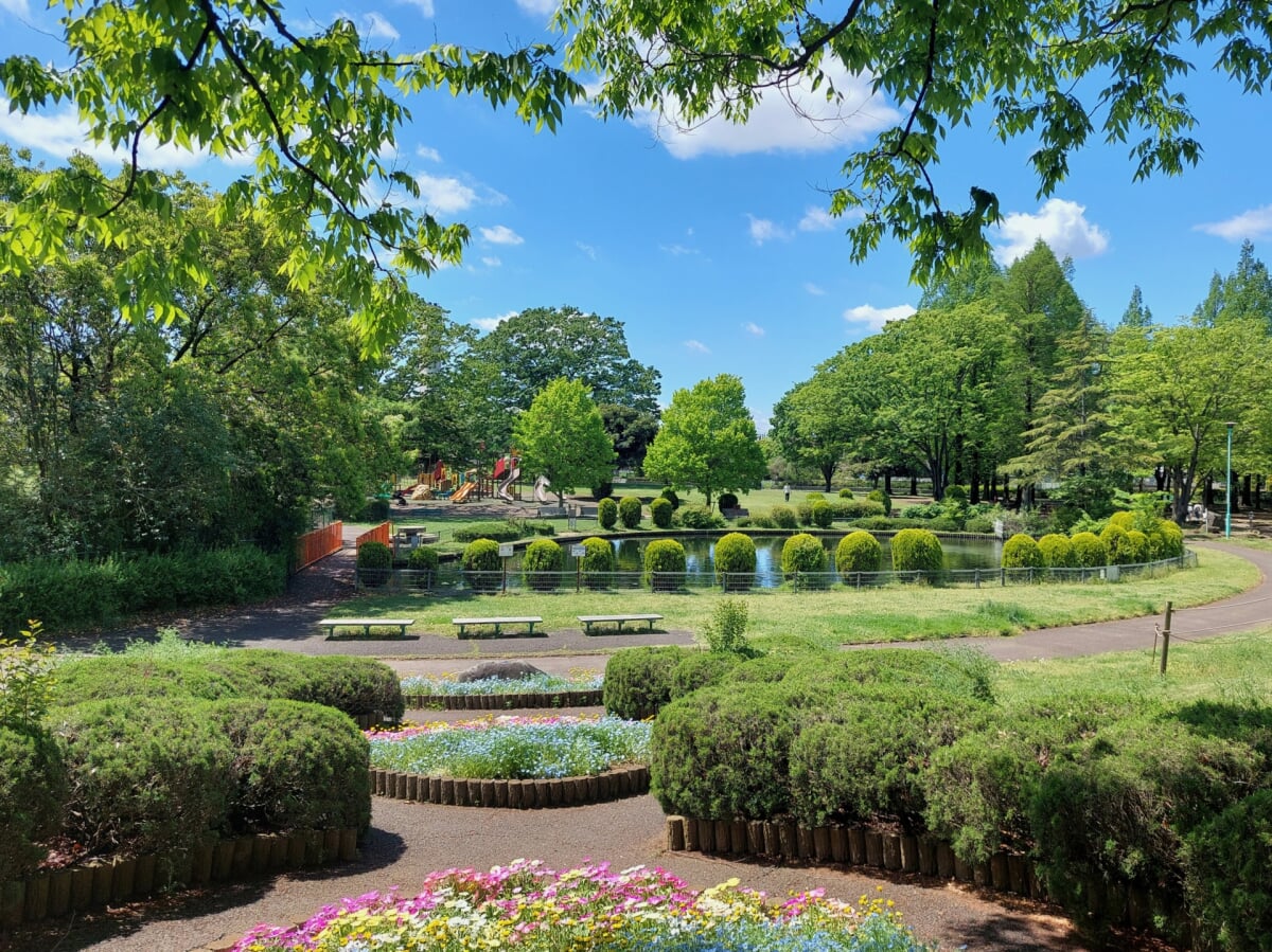 大崎公園の写真 