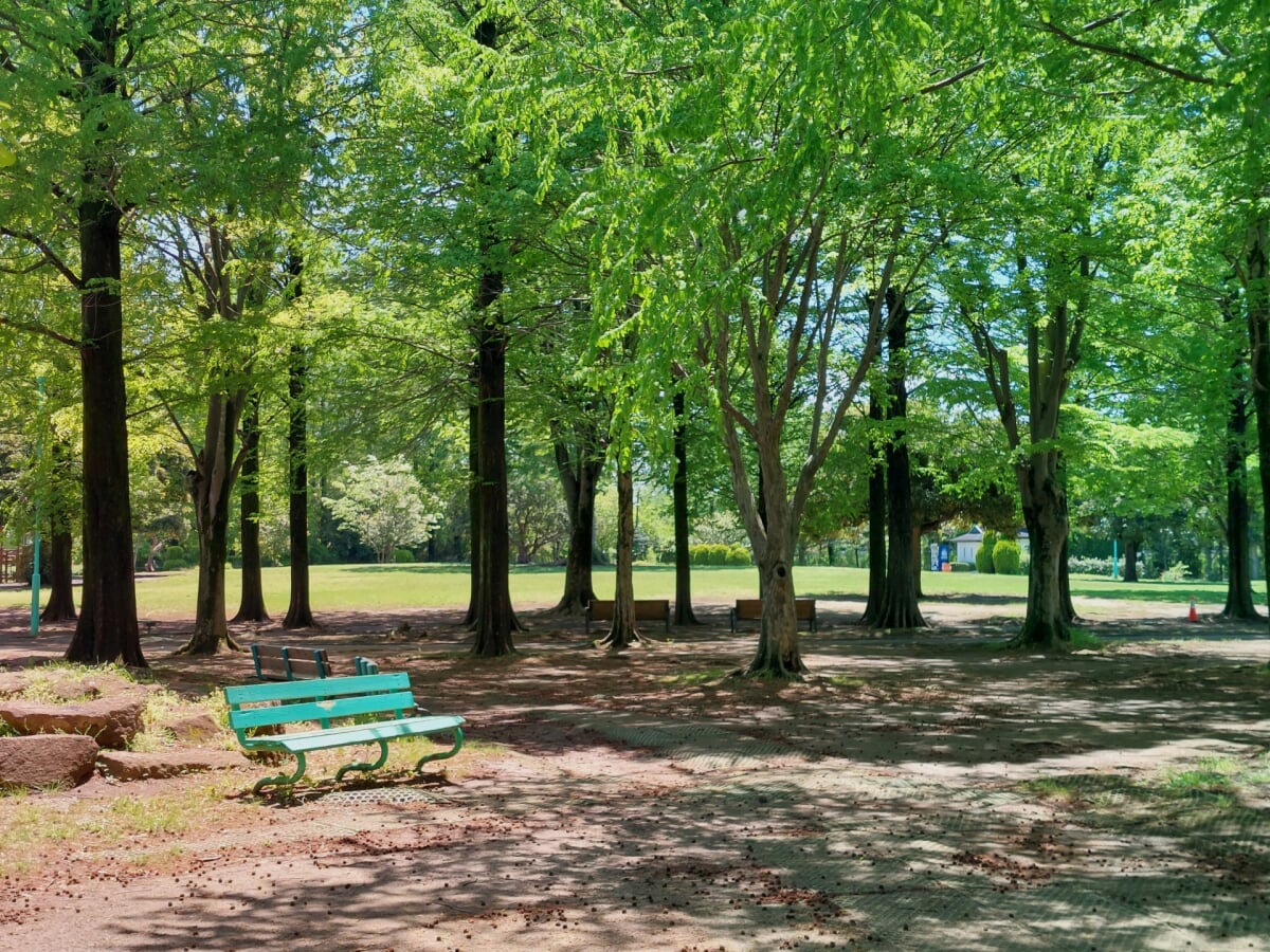 大崎公園の写真 