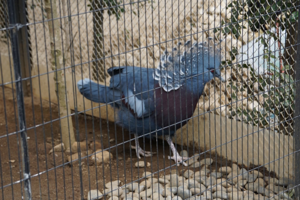 行船公園の写真 