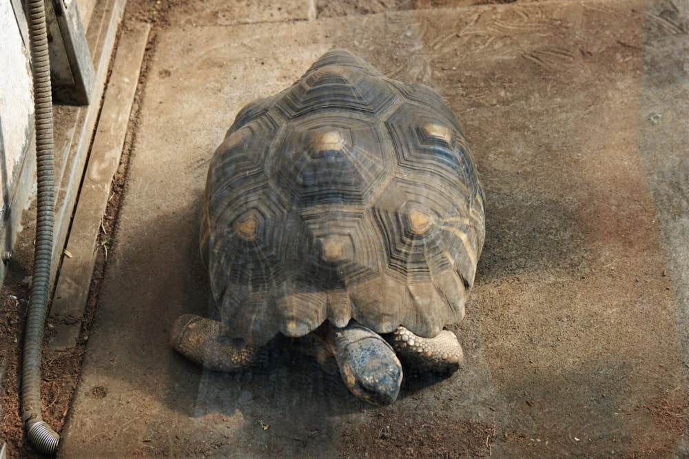 行船公園の写真 