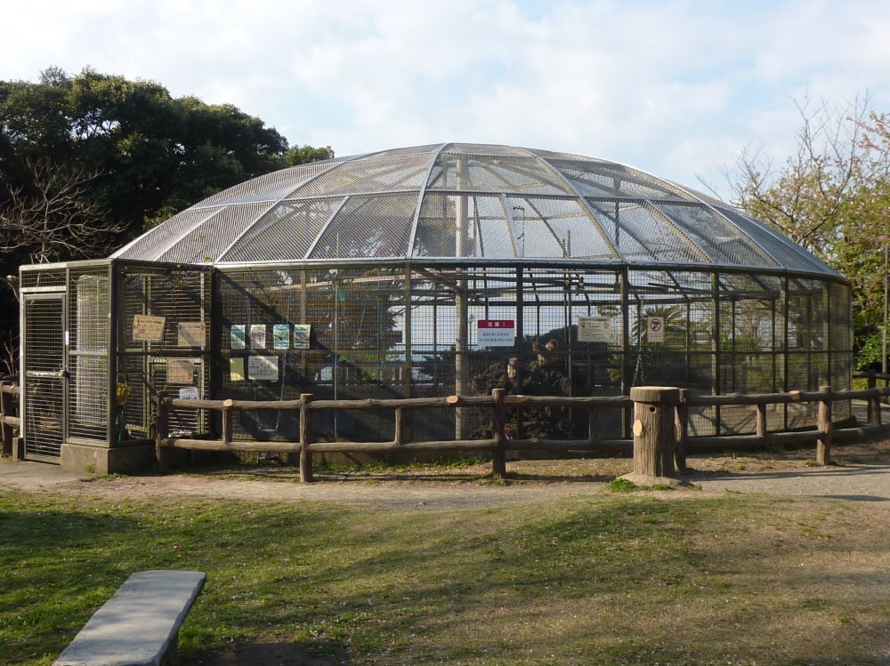 披露山公園の写真 ©Quercus(CC BY-SA 4.0)