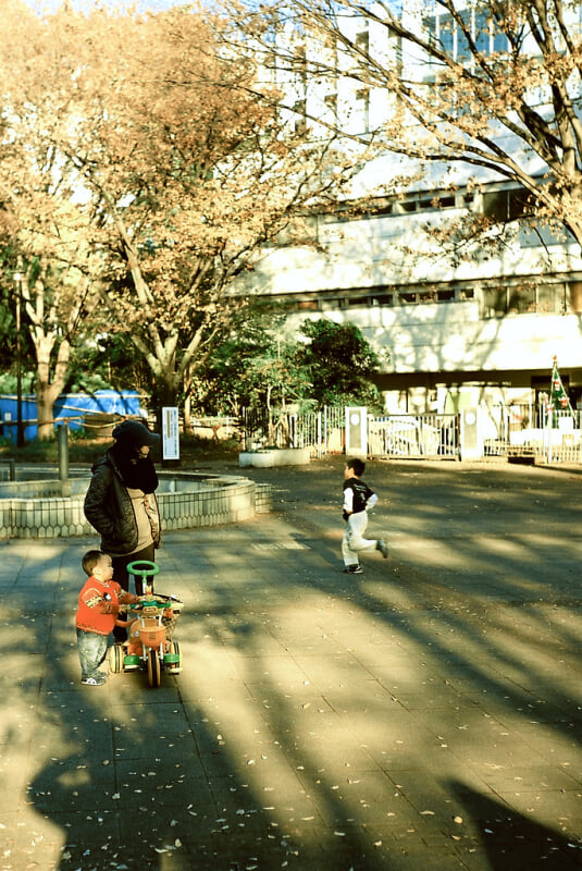 戸山公園の写真 ©t-miki(CC BY-ND 2.0)