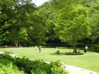 県立東高根森林公園の写真 出典:神奈川県/神奈川県オープンデータ(CC BY 4.0)