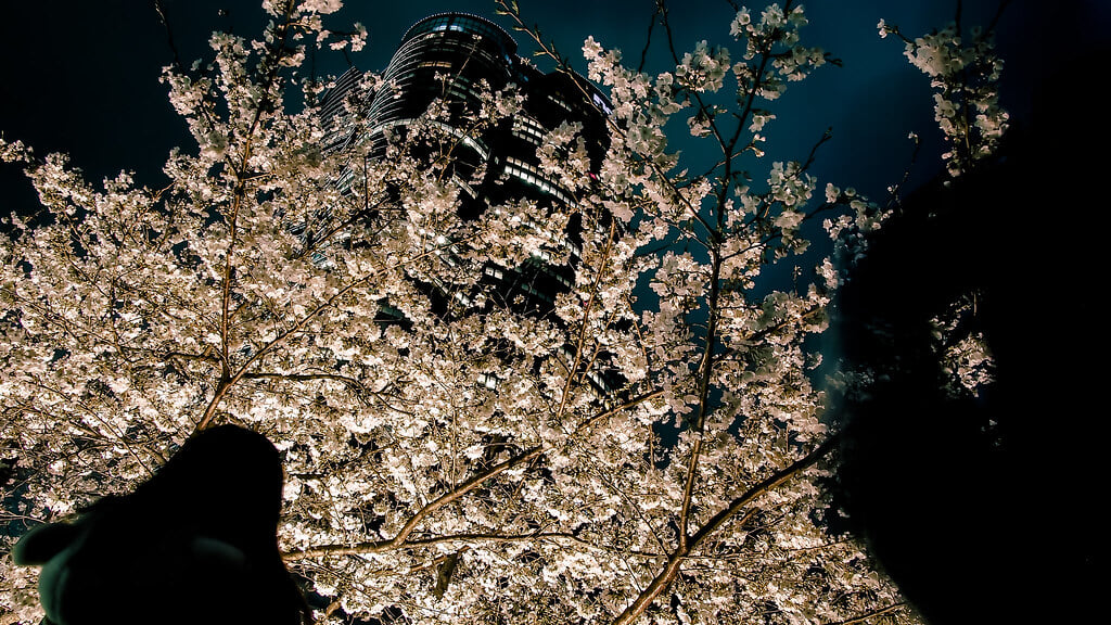 六本木ヒルズの写真 