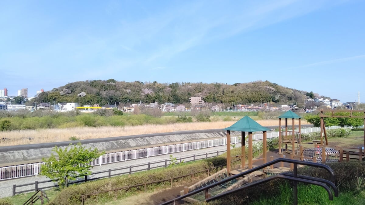 引地川親水公園の写真 