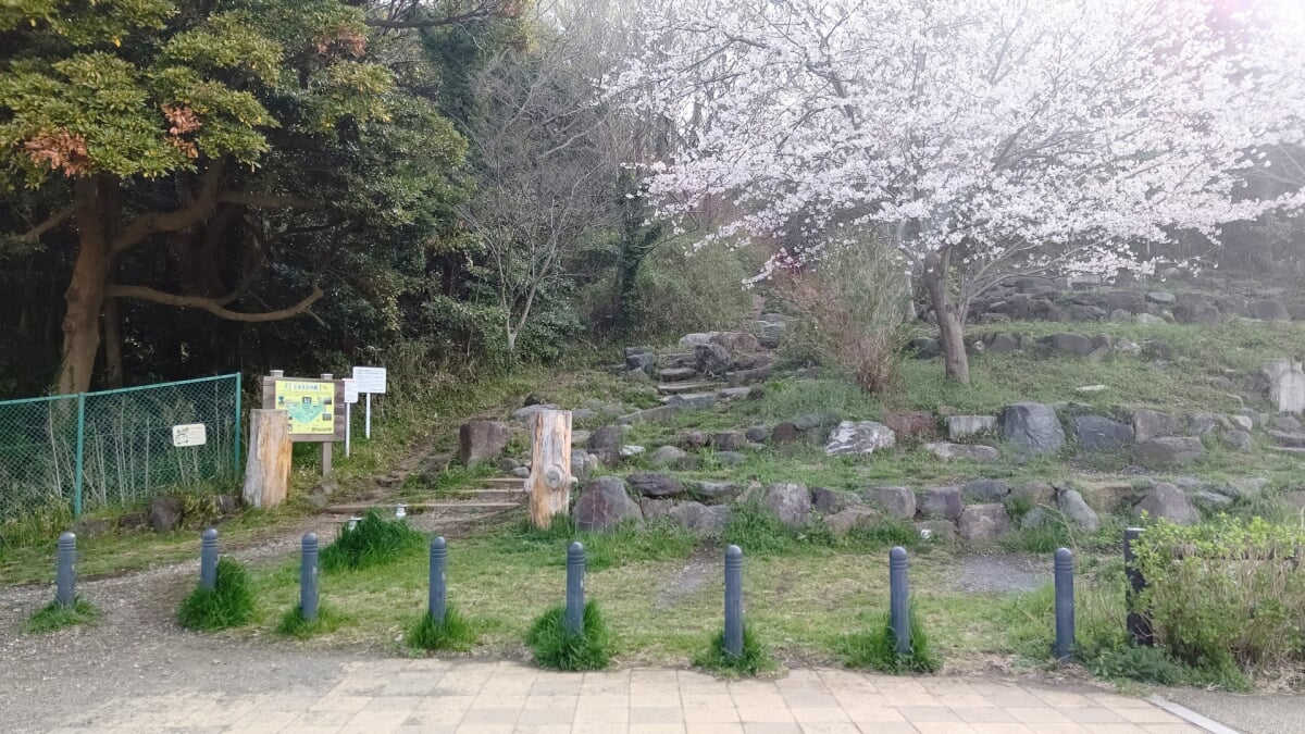 引地川親水公園の写真 