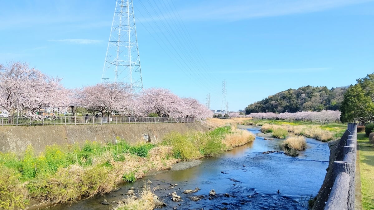 引地川親水公園の写真 