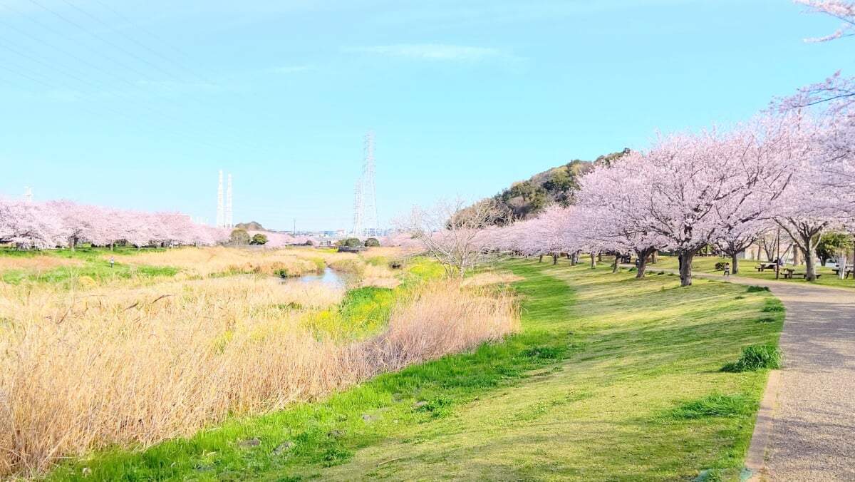 引地川親水公園の写真 