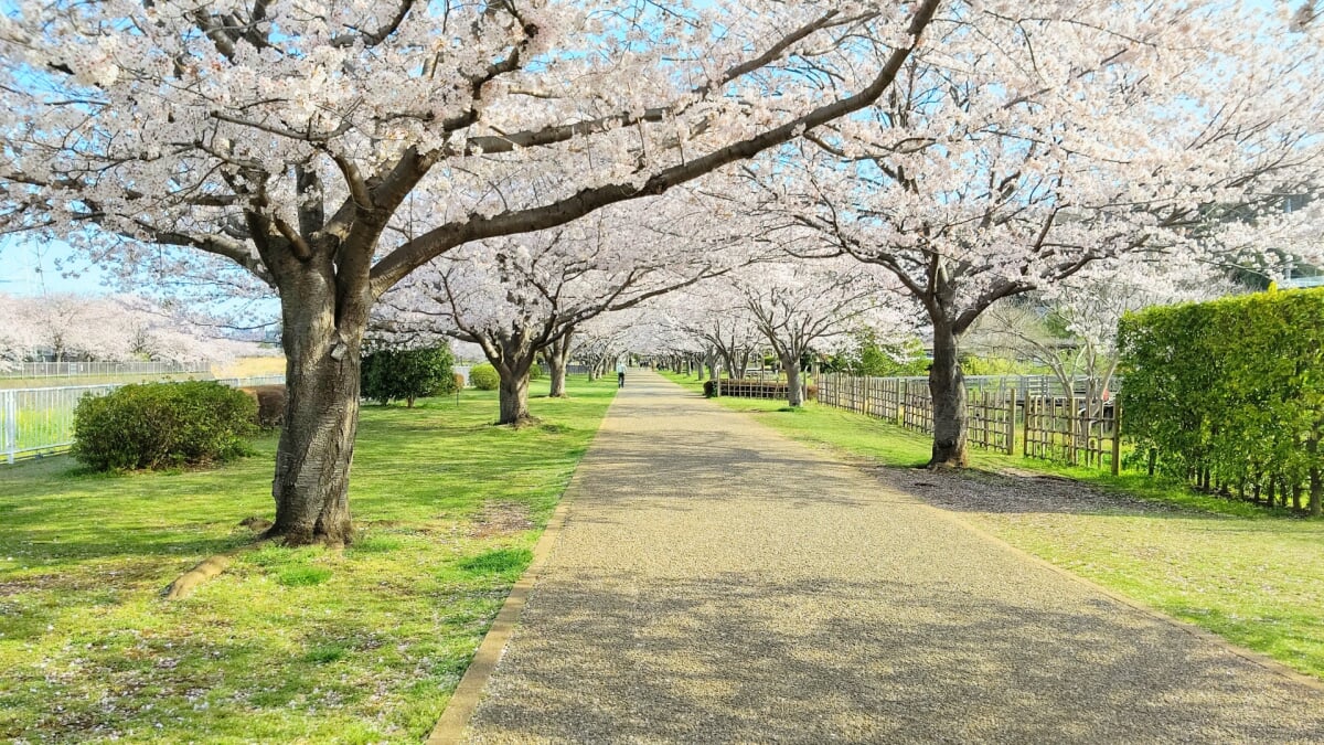 引地川親水公園の写真 