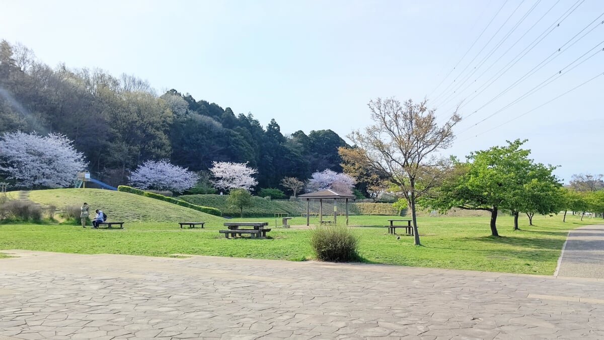 引地川親水公園の写真 