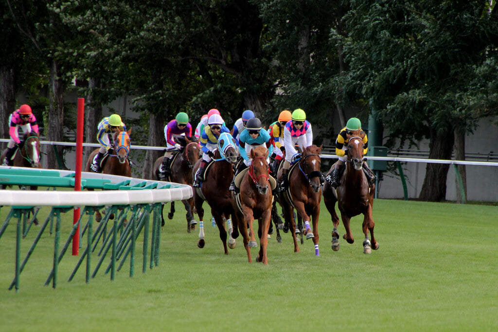 札幌競馬場の写真 ©MIKI Yoshihito. (#mikiyoshihito)(CC BY 2.0)