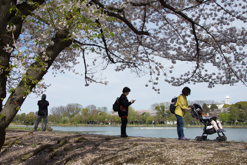 浮間公園の写真 ©t-miki(CC BY-ND 2.0)