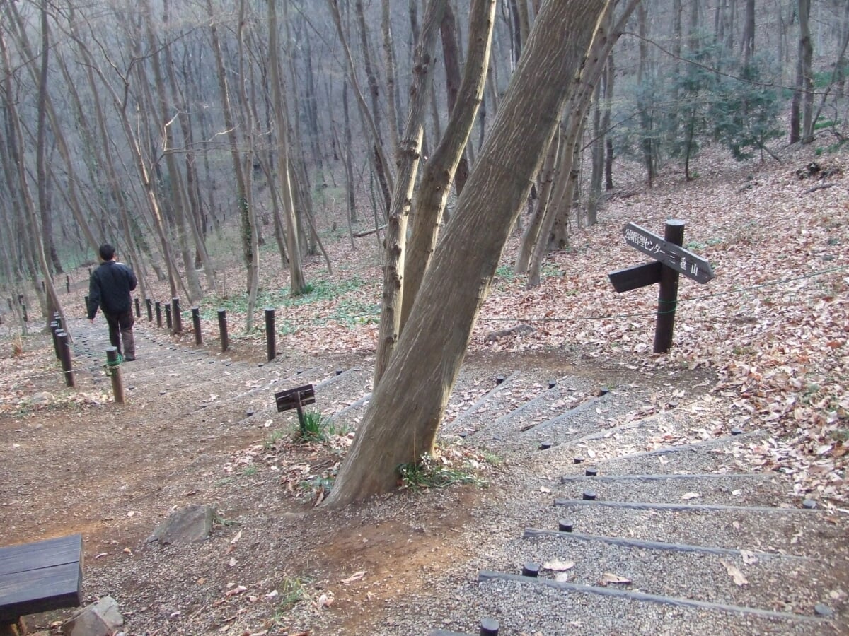 みかも山公園の写真 