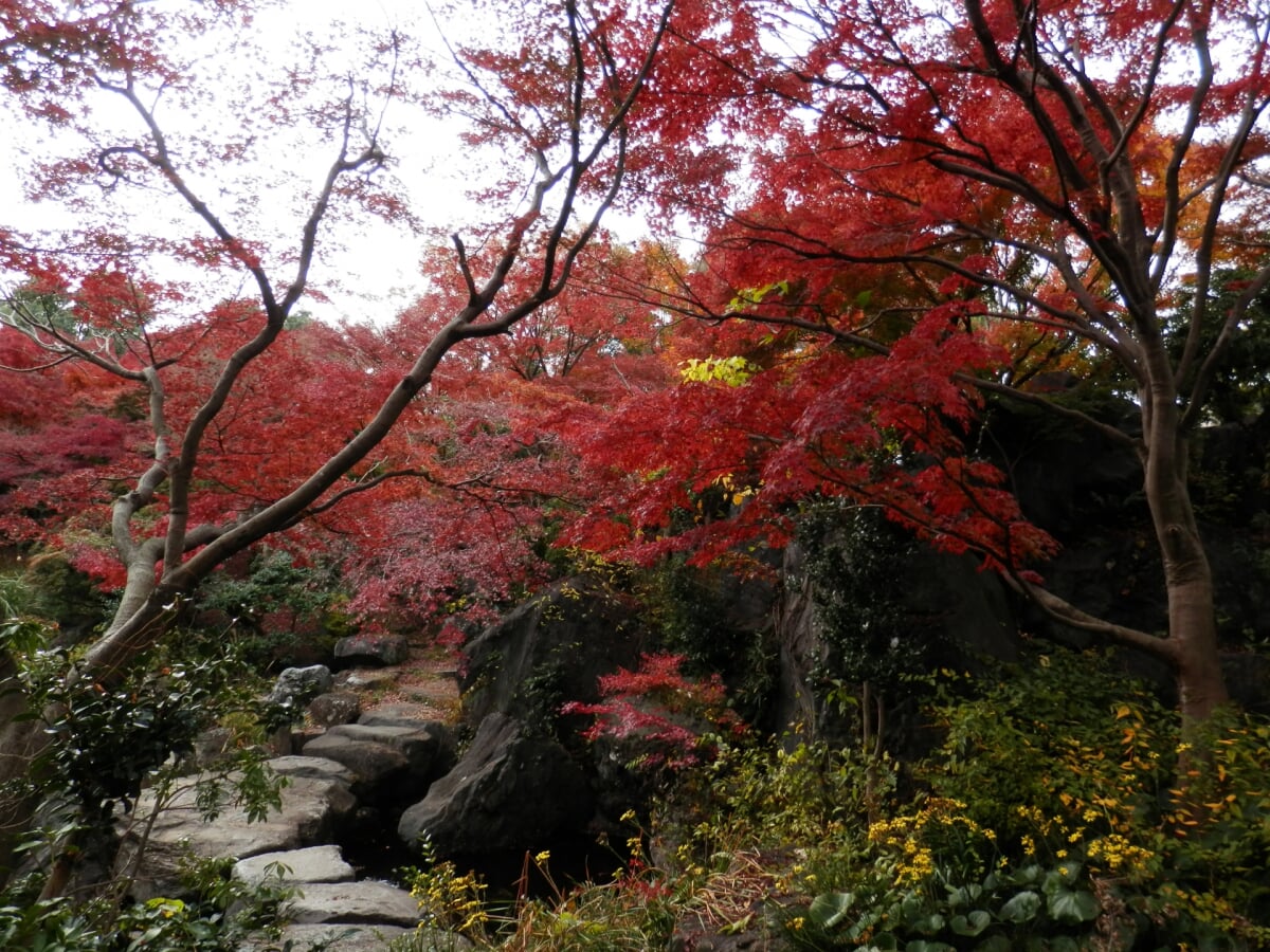 みかも山公園の写真 