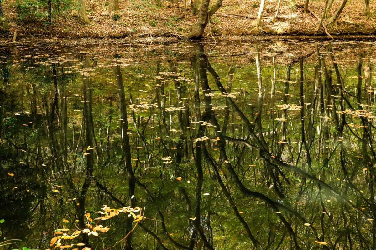 みかも山公園の写真 