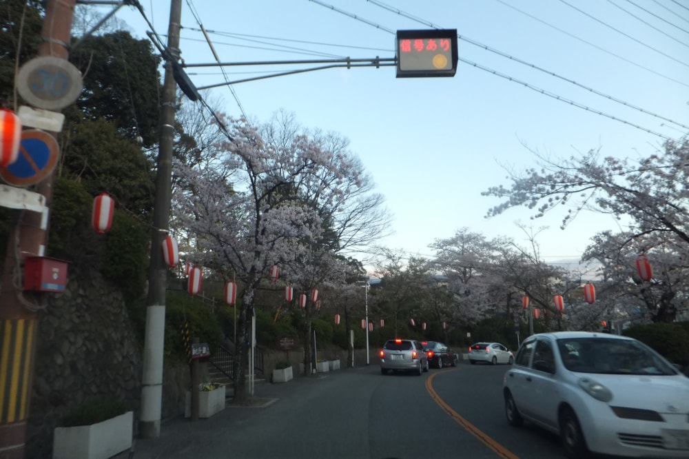 五月山公園の写真 ©Mti(CC BY-SA 3.0)