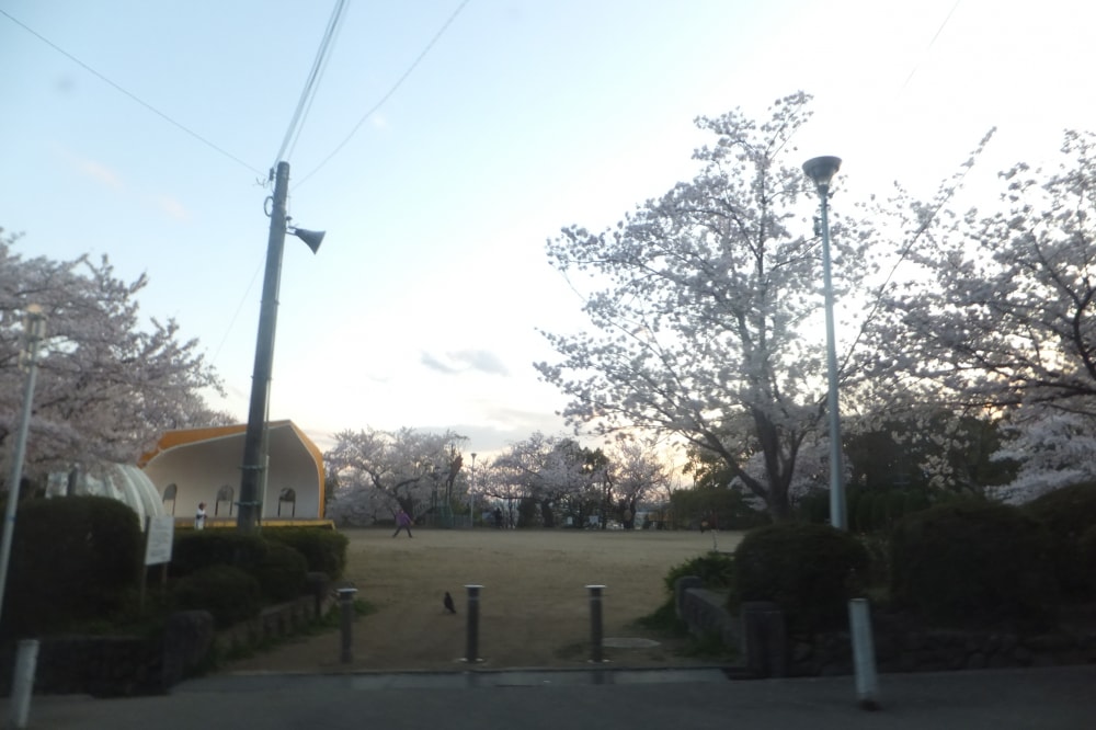 五月山公園の写真 ©Mti(CC BY-SA 3.0)