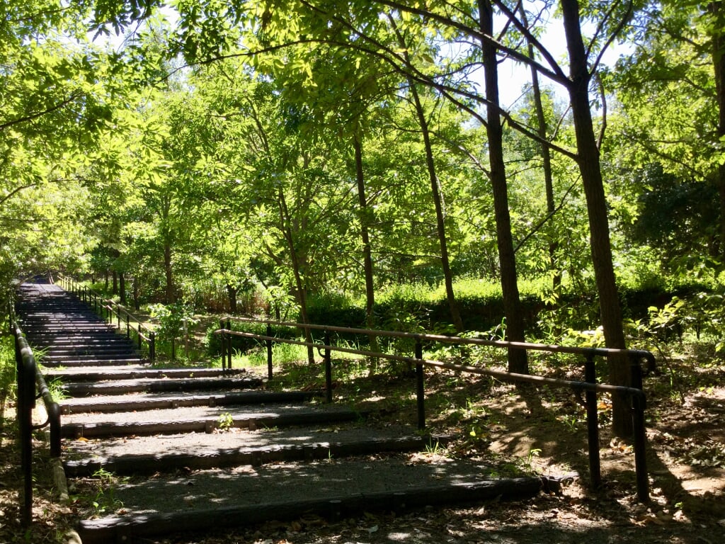 茅ケ崎里山公園の写真 ©五虎将軍(CC BY-SA 4.0)